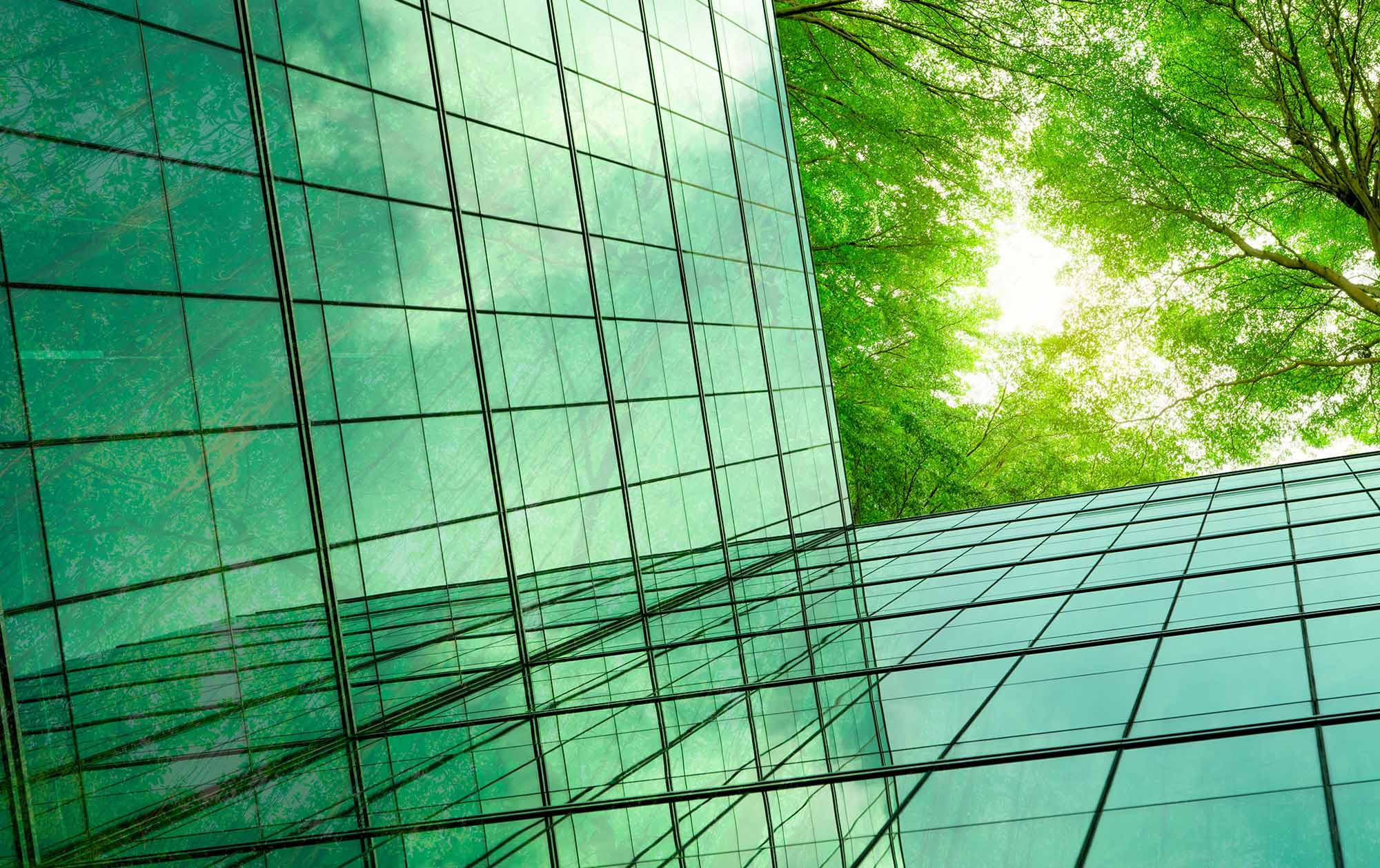 Private equity and venture capital