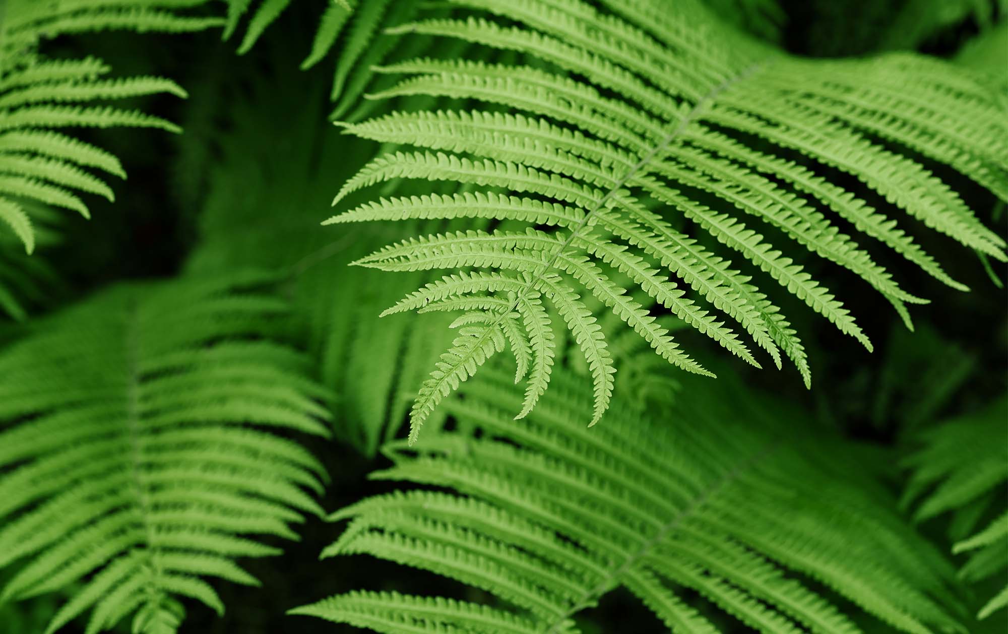 Sustainability resources