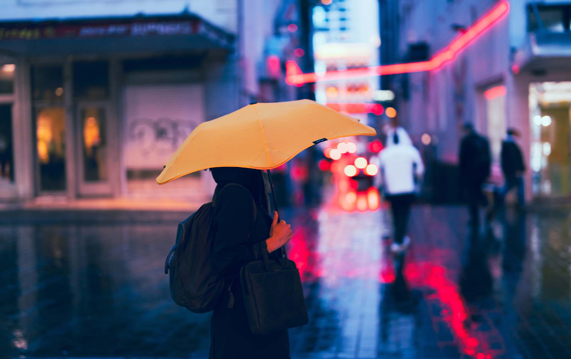 Climate change litigation in New Zealand Civil liability for climate activism?