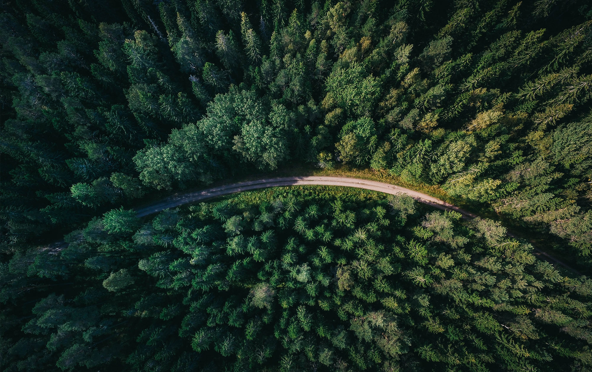 First greenwashing case in Australia