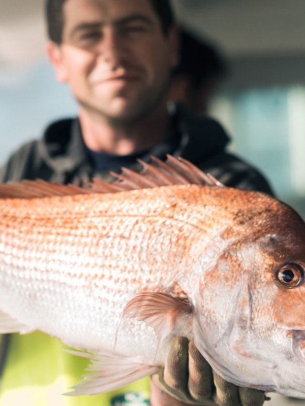 Award-winning kaitiaki challenges tide with sustainable fishing