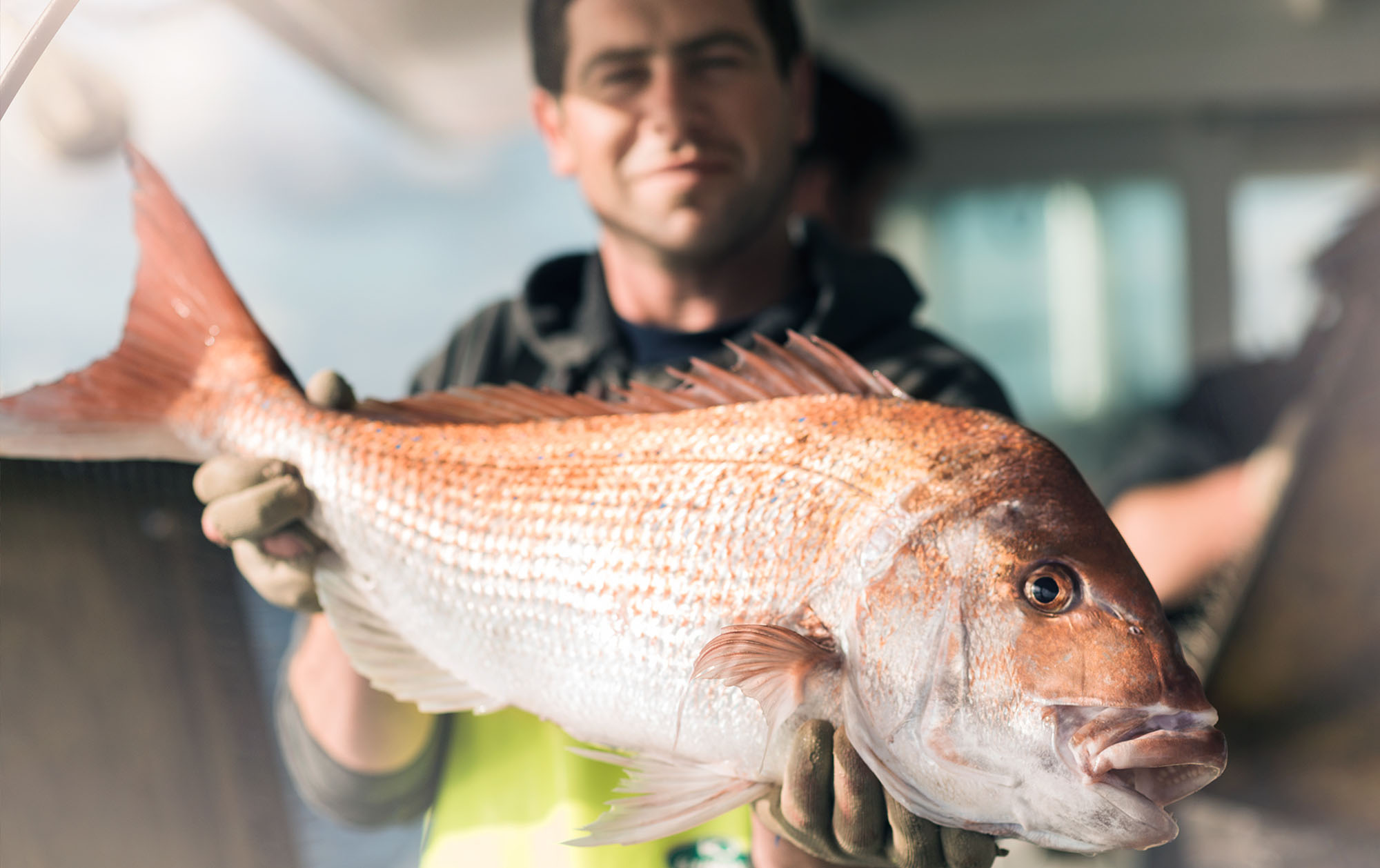 Award-winning kaitiaki challenges tide with sustainable fishing