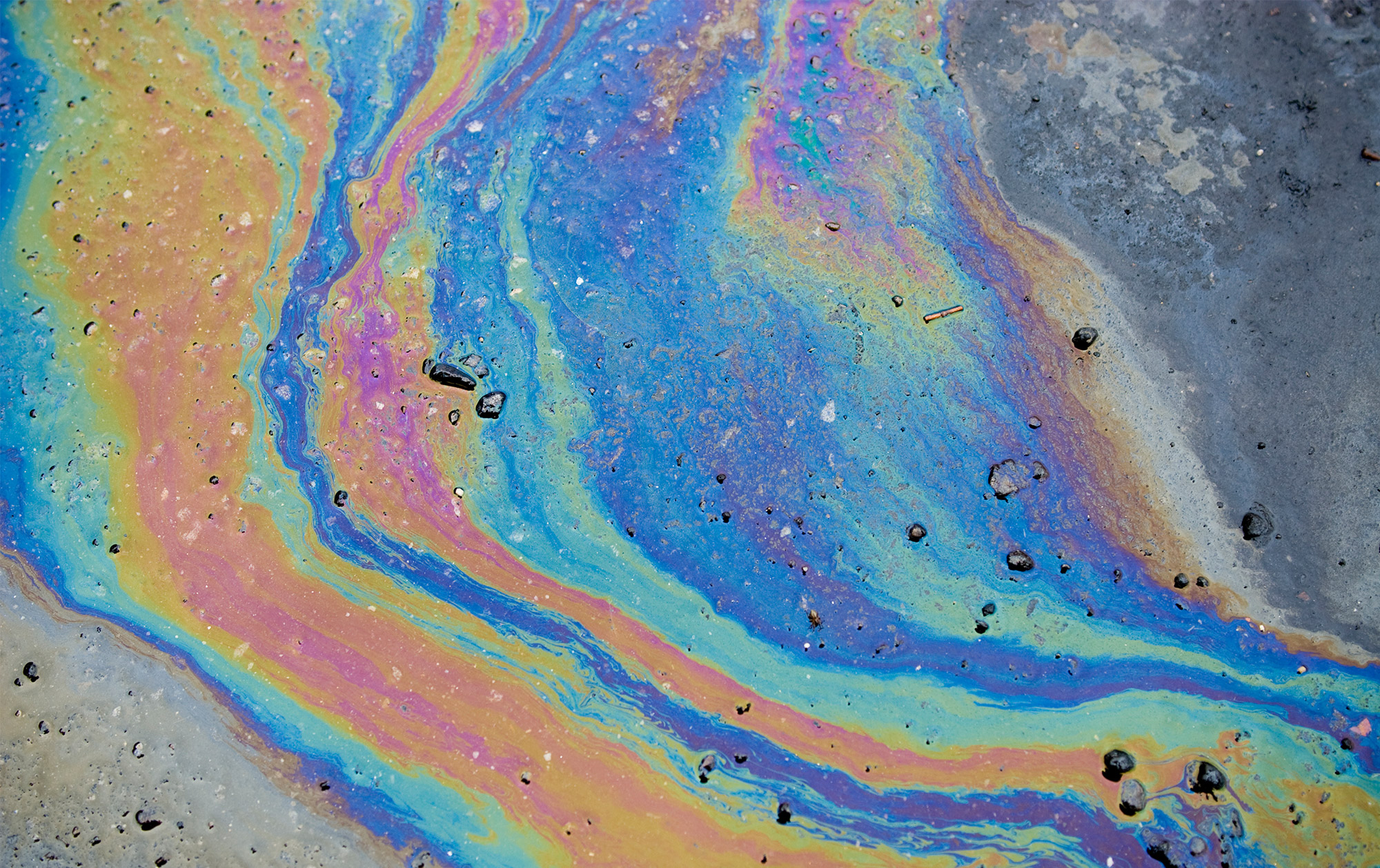 Case study: Court of Appeal rules on exclusion for losses caused by “pollution or contamination”