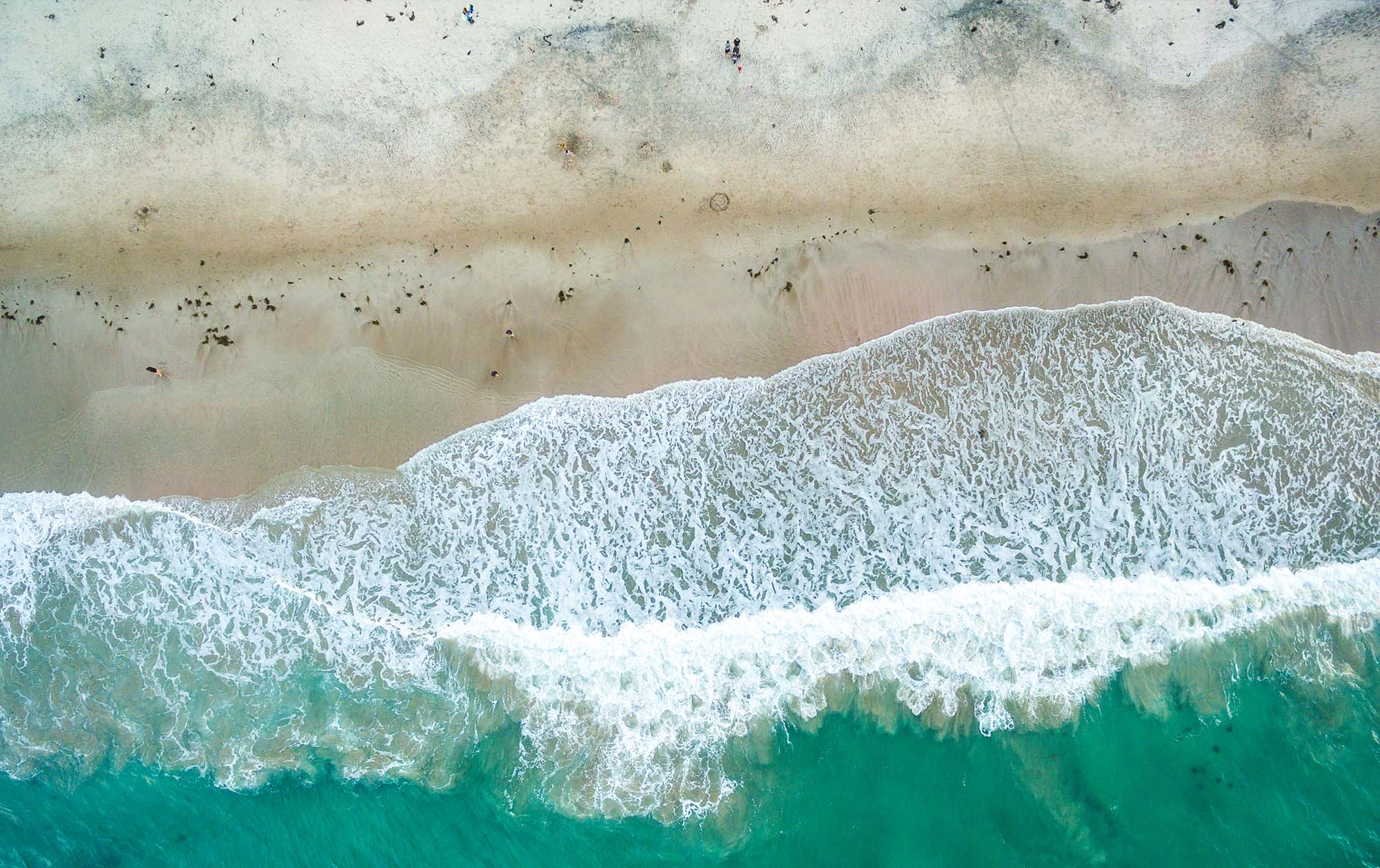 Key insights for insurers: The first wave of climate statements 