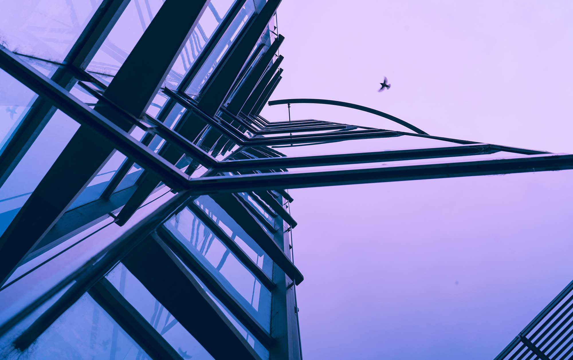 Litigation Forecast 2025