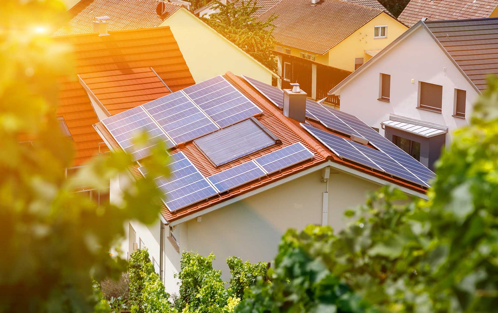 Empowering change: How Ara Ake is driving energy innovation