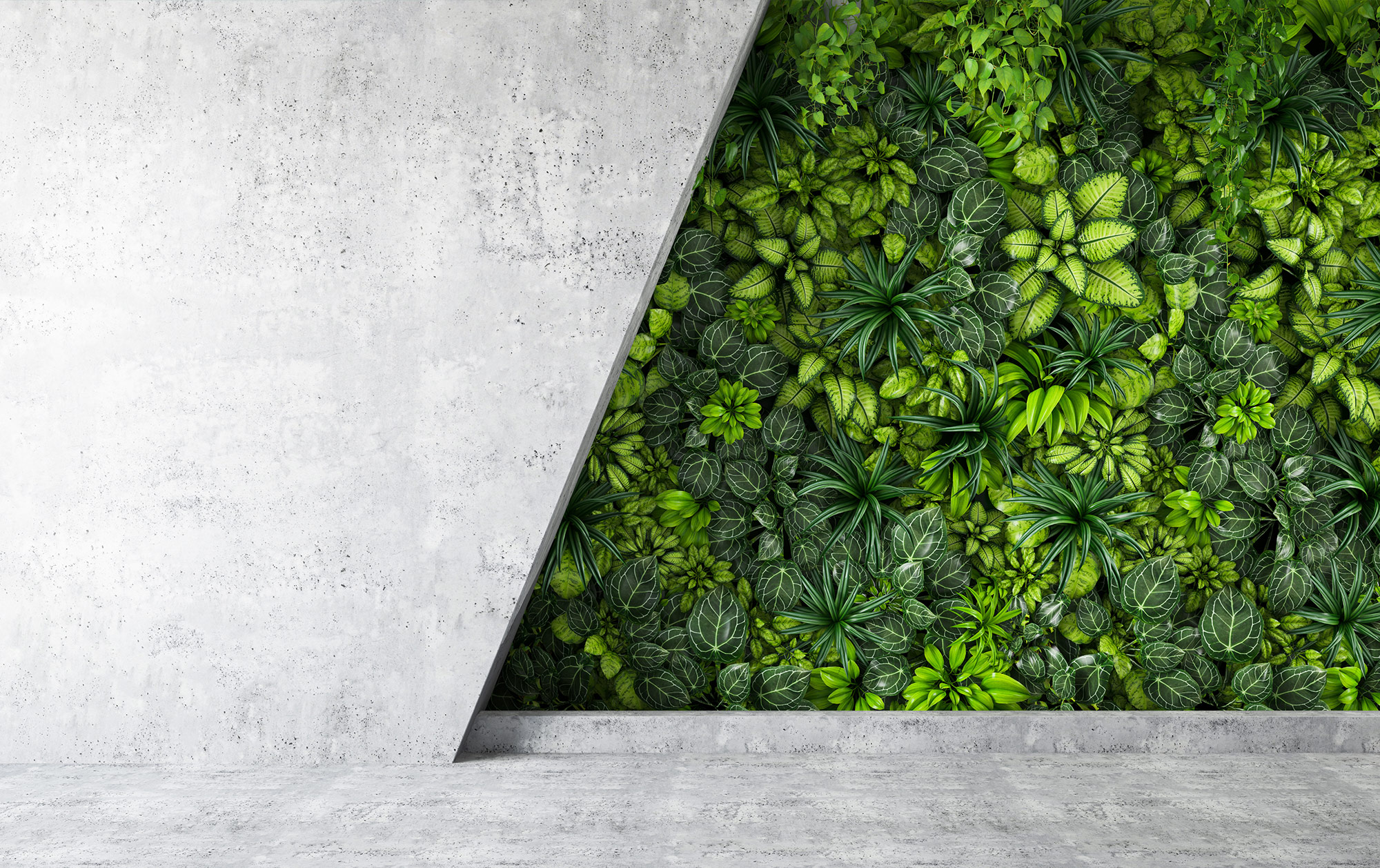 Greenwashing: Guidance to reduce the risks