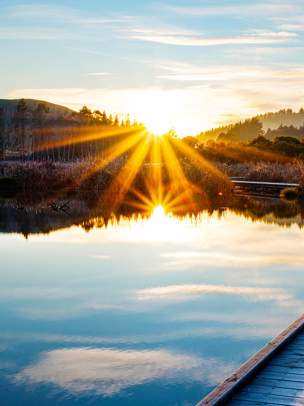 Catching the sun: How Helios is harnessing the potential of solar power 