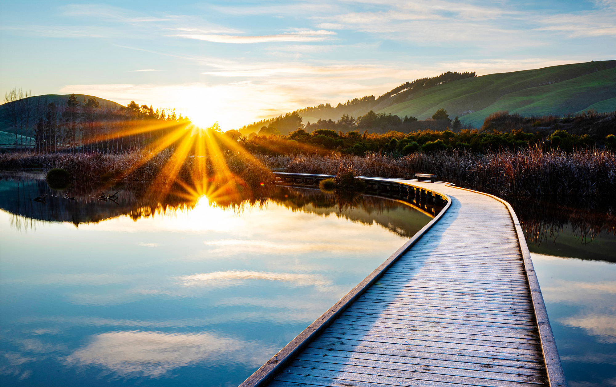 Contract drafting for nature-positive infrastructure 