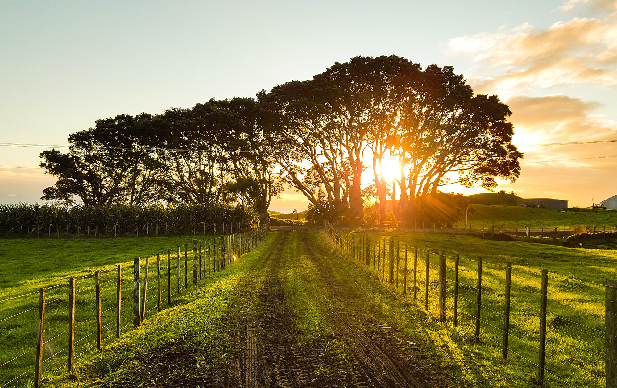 Applications to utilise the new Fast-track approvals process open on 7 February 