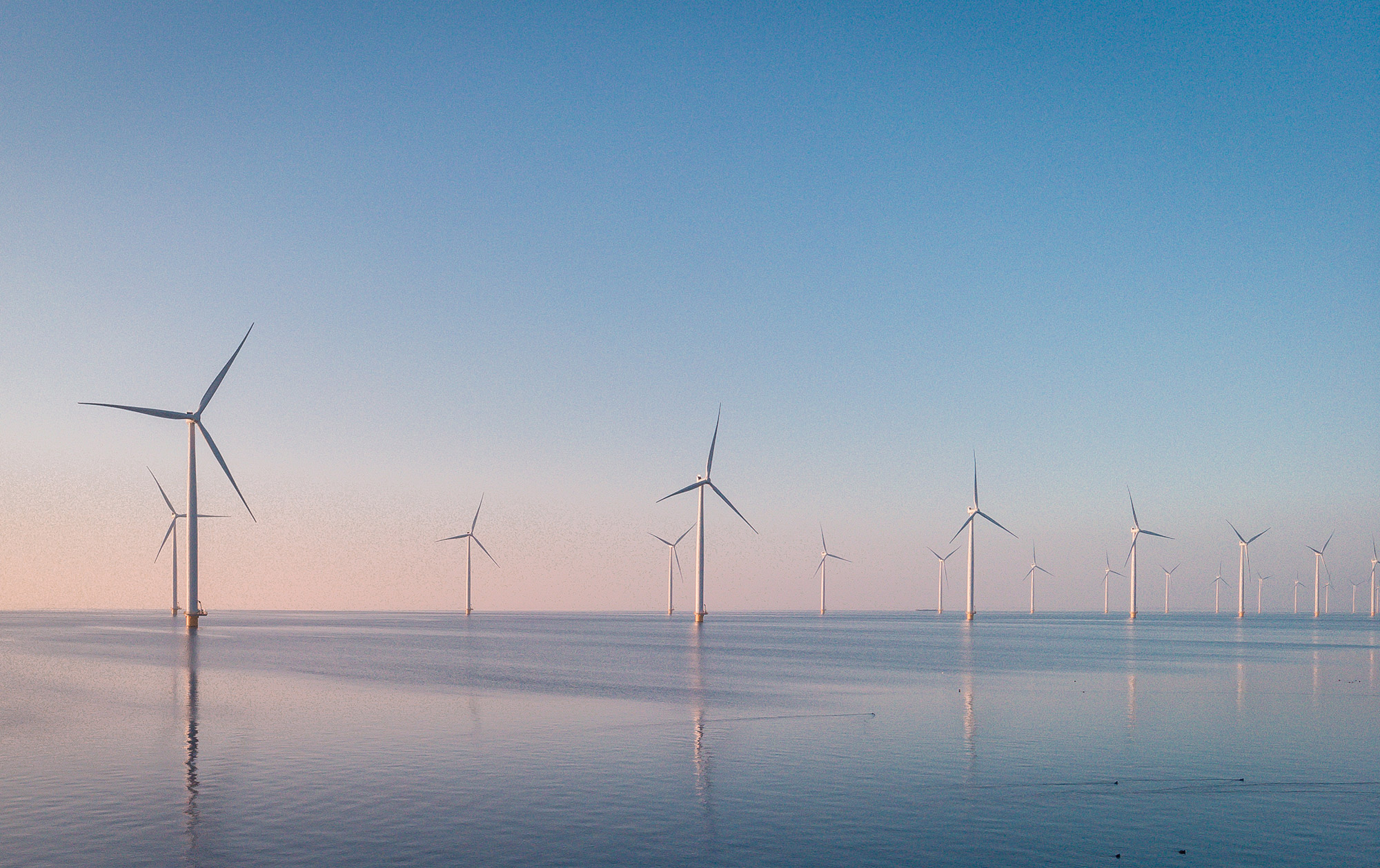 MBIE releases briefing for the incoming Minister for Energy