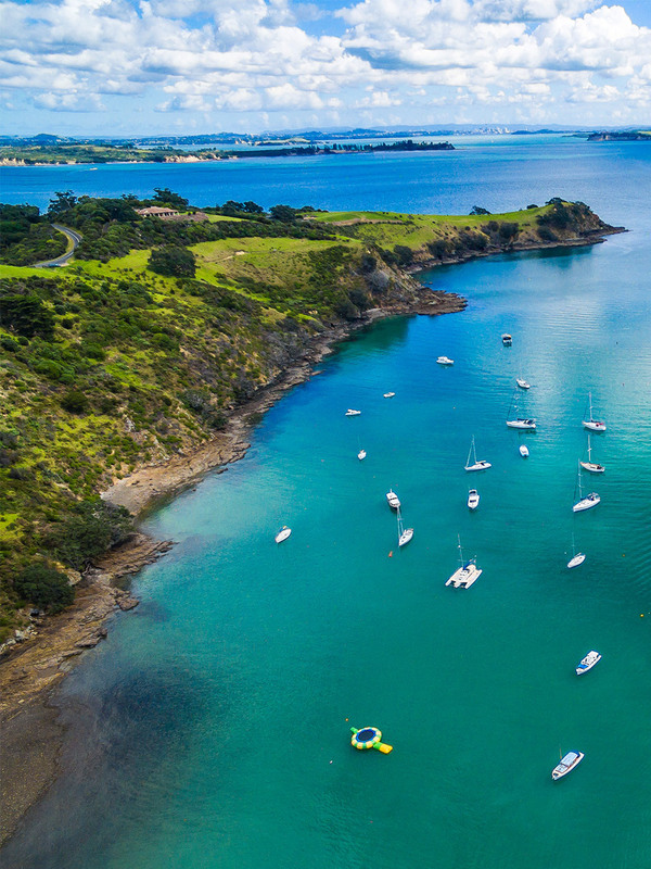 Tip of the foil: Building network capability to enable Auckland’s sustainable ferry future