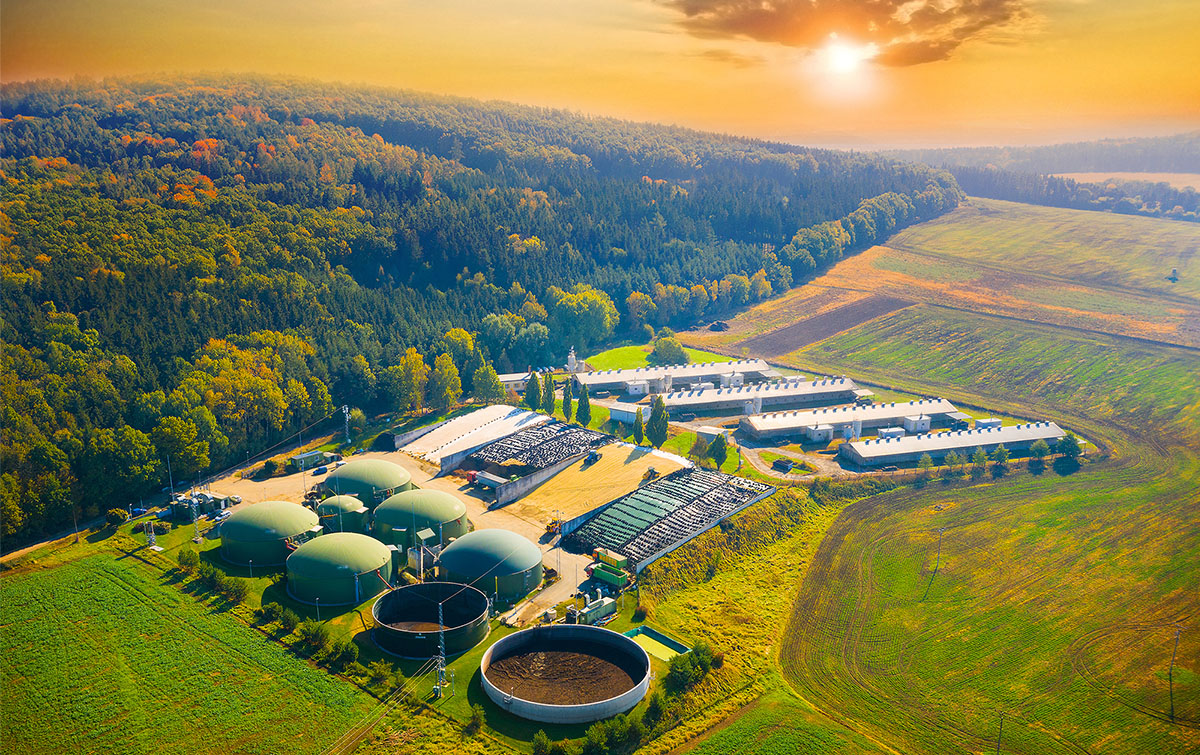 The role of biogas in New Zealand’s energy transition