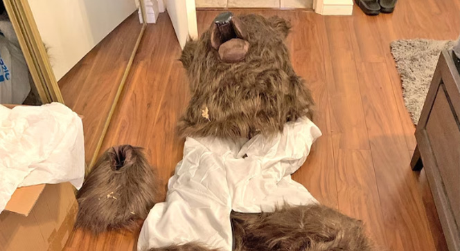 Case study: Bear-faced cheek