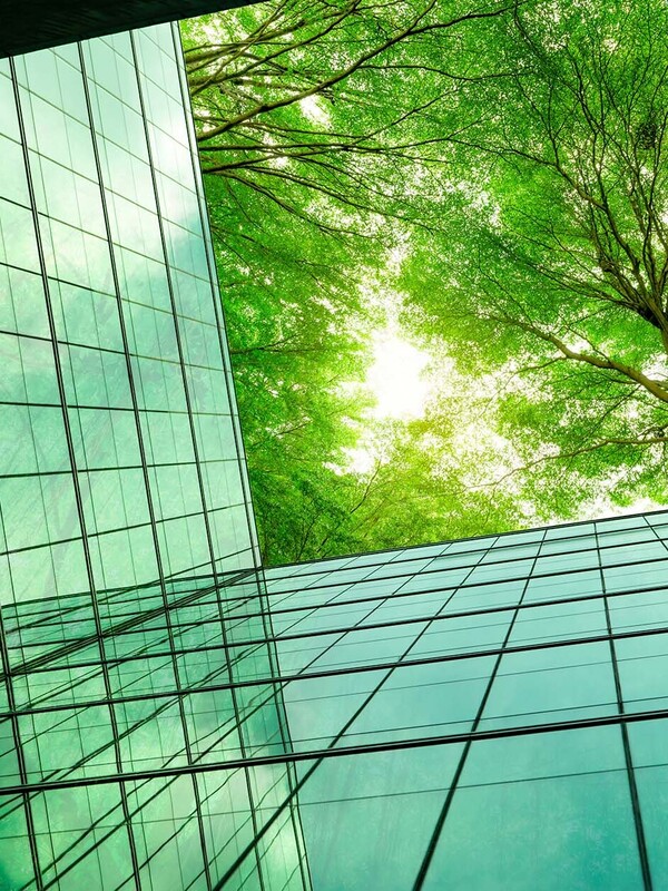 Directors due diligence defence: Revisited in a climate change context