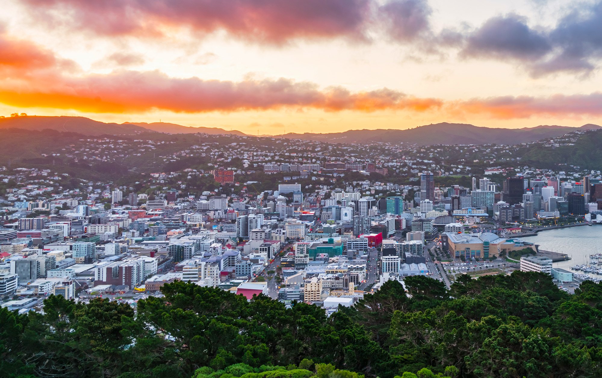 Wellington
