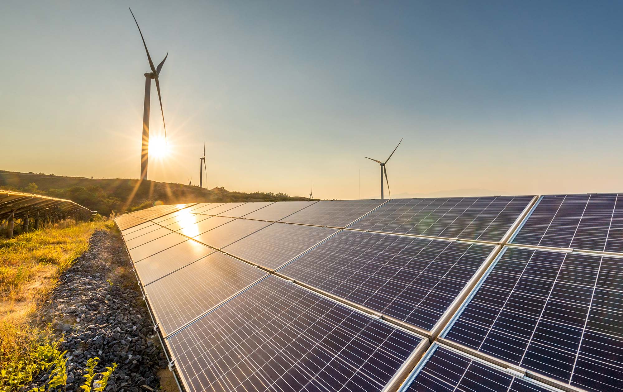 Investing in New Zealand's renewable energy sector
