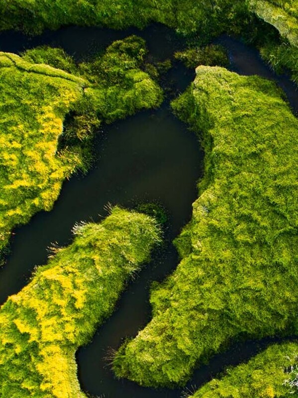 Significant changes ahead for New Zealand’s resource management system 